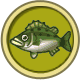 sea-bass.png