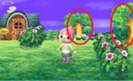 original ACNL trees.jpg