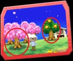 acnl tree new.jpg