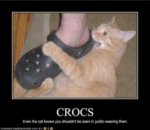 lolcats-71-4.jpg