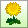 dandelion.png