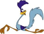 roadrunner.jpeg