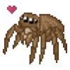 ezgif.com-resize spider.jpg