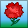 carnation-red.png