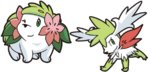 shaymin_and_sky_shaymin_by_dark_infernape.jpg