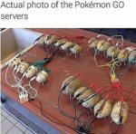 pkmngosrvrs.jpg