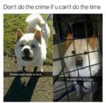 bork-imprisoned-for-borking-doggo.jpg