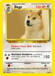 doge.jpg