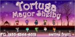 Tortuga Sig.jpg