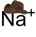 what in ionization.jpg