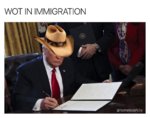 what in immigration.jpg