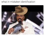 what in mistaken identification.jpg