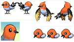 fletchling_and_fletchinder_by_shirukiba-d6so257.png