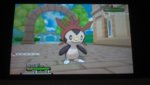 110523-shiny-chespin-twitter.jpg