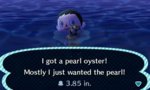 ACNL#5.jpg-large.jpg