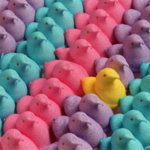 marshmallow-peeps-kingston-candy-bar.jpg