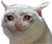 cryingcat.png