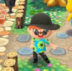 pocket camp2.jpg