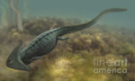 Diplocaulus-salamandroides-sergey-krasovskiy.jpg