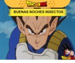 buenas-nochesinsectos-rai-11657257.jpg