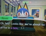 acnl a box.jpg