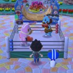 pocket camp resize.jpg