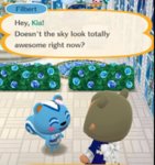 What Filbert.jpg