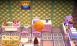 ACNL_2451.JPG