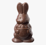 307-3075281_chocolate-bunny-png-transparent-image-png-download.png