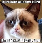 grumpy-cat-meme.jpg