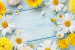 61187946-garden-flowers-over-blue-wooden-table-background-backdrop-with-copy-space.jpg