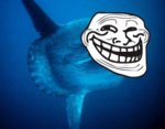 trollsunfish.jpg