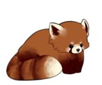 red_panda_sorta_chibi_by_pyxelle_art-d5o4knl.jpg