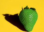 green_strawberry_by_damian6347177.jpg