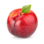 red plum.jpg