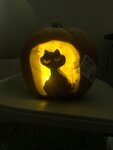 Catpumpkin.jpg