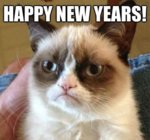 meme-new-year-2015-funny-pic-cat.jpg