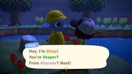 villager 04.jpg