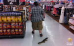 what_you_can_see_in_walmart_part_16_640_42.jpg