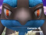 Lucario_Is_Not_Amused__by_shiramashi564.jpg