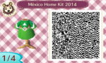 Mexico Home Kit (1).JPG