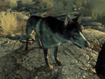 Dogmeat_FO3.jpg