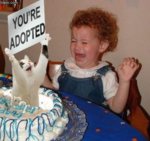 b-385482-funny_birthday.jpg