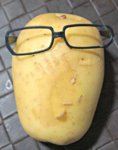 tumblr_static_smart_potato.jpg