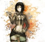 Mikasa-Shingeki-no-Kyojin-Attack-on-Titan (2).jpg