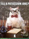 memes-introducing-chemistry-cat.jpg