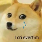 Meme doge cri evertim.jpg