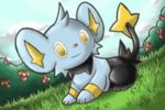 Shinx.jpg