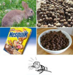 funny-Nesquik-cereal-rabbit-poop_large.jpg