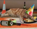 Happy-Birthday-Cat-Pictures-10-e1378704860454-300x230.jpg